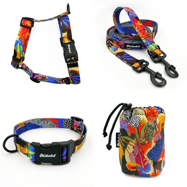 ACCESSORY KIT. Big dog. Colorful Thicket Psiakrew Series; Collar, Harness, Leash, Sachet for dog treats