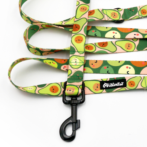 Długa smycz dla psa przepinana Guacamole Time Psiakrew, taśma 2,5 cm karabińczyk 8 cm czarny