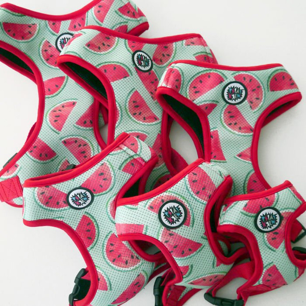 Dog Harness, Always Feeling Cool, Super Soft Psiakrew Watermelon