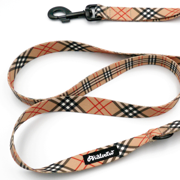 Hundeleine Dogberry Psiakrew Breite 2,5 cm, 1" breit, kräftiger schwarzer Karabiner 8cm