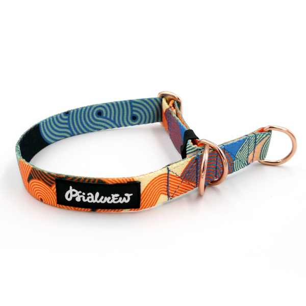 Obroża półzaciskowa Geo Snake szeroka na 2 cm, dla małych psów, złote dodatki