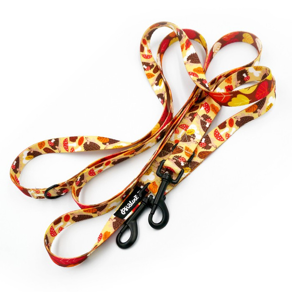 Long Dog Leash Hedgehog Dreamer width 2 cm (0.78")  wide, black snap hook 7 cm