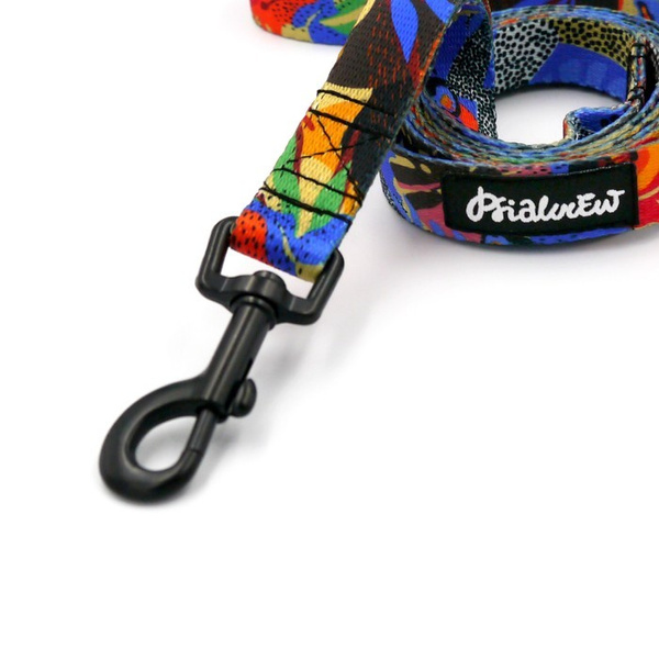 Walking leash for Dog Colorful Thicket Psiakrew, width 2 cm, black snap hook 6 cm