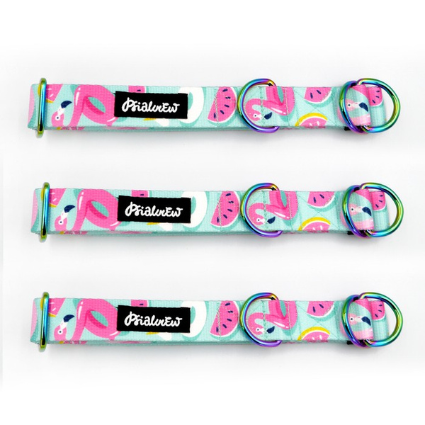 Half-choke collar Azure Pool, 2.5 cm wide, medium and big dogs, HOLO extras