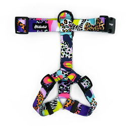Geschirr für Hund Crazy Leopard Psiakrew für einen großen Hund, 3 cm Band