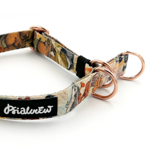 Half-choke collar Forest Treasures 2 cm wide, for small dogs, rose gold extras