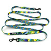 Long Dog Leash Peacock's Eye Psiakrew width 2 cm (0.78"), black snap hook 7 cm (3,15")