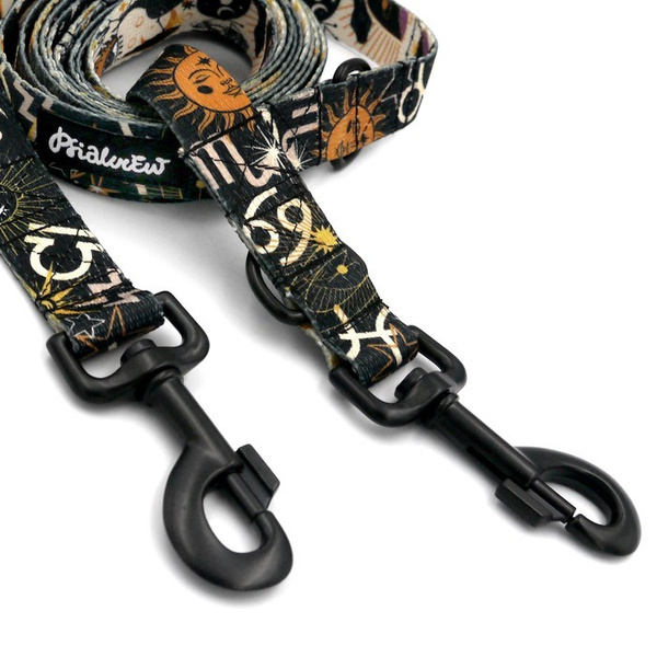 Długa smycz dla psa przepinana Zodiak Psiakrew, taśma 2,5 cm, karabińczyk 8 cm czarny