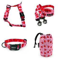 ZUBEHÖRSATZ. Großer Hund. Lollipops Psiakrew - Serie; Halsband, Geschirr, Leine, Sachet für Hundeleckerli