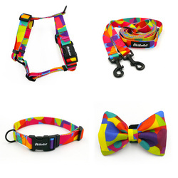 ACCESSORY KIT. Small dog. Psiakrew Kaleidoscope Series; Collar, Harness, Leash, Bow Tie