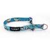 Half-choke collar Shark, 2 cm wide, for small dogs, Holo extras