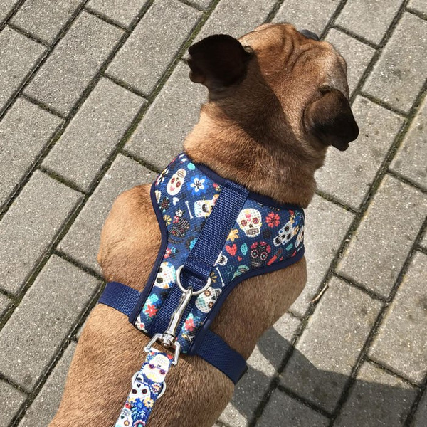 Dog Harness Día de los Muertos, Always Feeling Cool, Super Soft Psiakrew