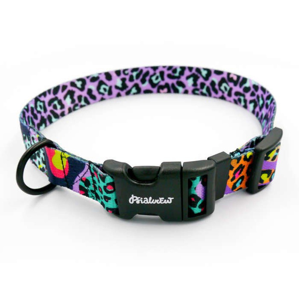 Dog Collar Psiakrew Crazy Leopard 2.5 cm wide, black extras