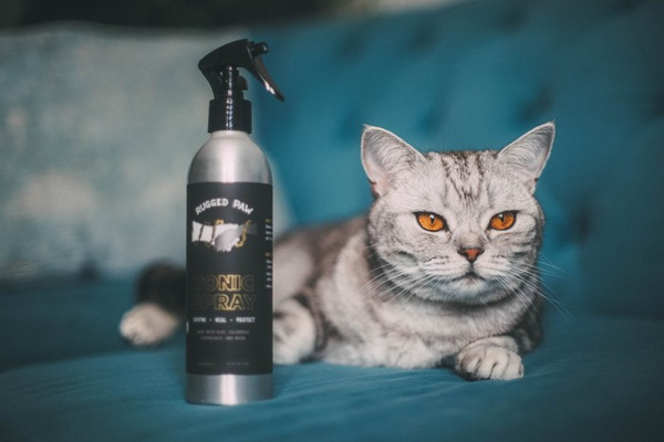 Spray dla Psa do codziennego użytku RUGGED PAW TONIC SPRAY