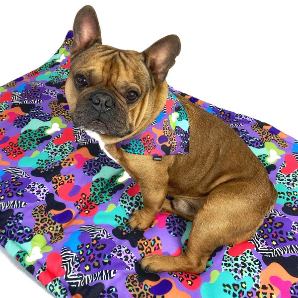 Premium Hundehalstuch Crazy Leopard-Taschentuch zum Binden um den Hals Ihres Haustieres