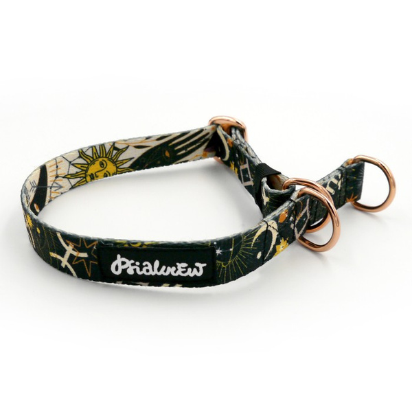 Half-Choke-Halsband Zodiak, 2 cm breit, für kleine Hunde, goldene Accessoires