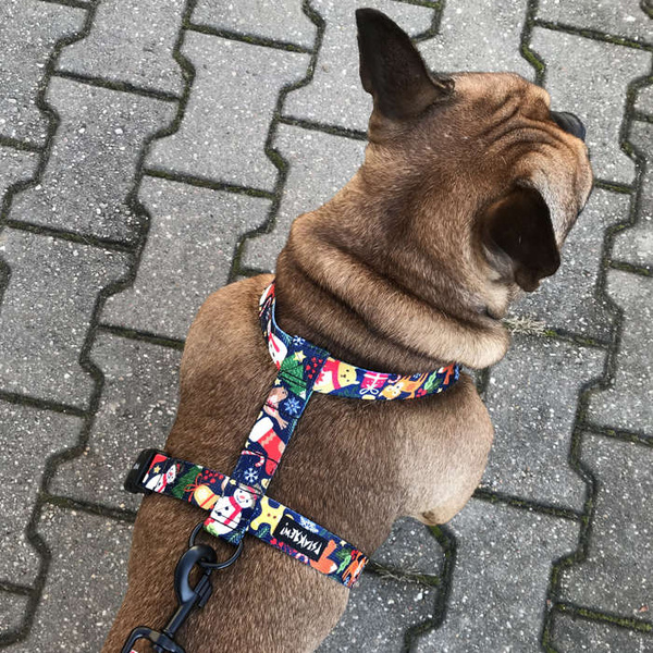 Szelki dla Psa Guard, dla średnich i większych psów, 2,5 cm, model Idzie Zima, czarne okucia