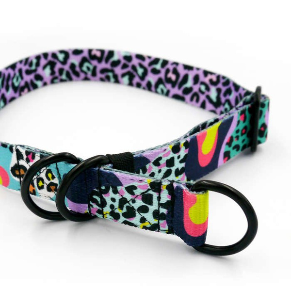 Half-choke collar Crazy Leopard, 2.5 cm wide, medium and big dogs, black extras