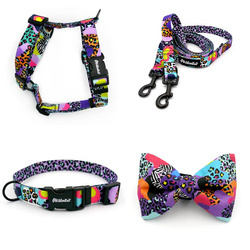 ACCESSORY KIT. Small dog. Crazy Leopard Psiakrew Series; Collar, Harness, Leash, Bow tie