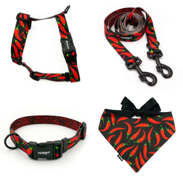 ACCESSORY KIT. Big dog. Red Hot Chili Psiakrew Series; Collar, Harness, Leash, Bandana