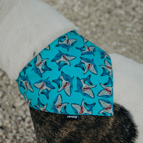 Hundehalstuch, Sharks-Taschentuch zum Binden um den Hals Ihres Haustieres