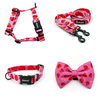 ZUBEHÖRSATZ für einen kleinen Hund Lollipops Psiakrew -Serie; Halsband, Geschirr, Leine, Fliege
