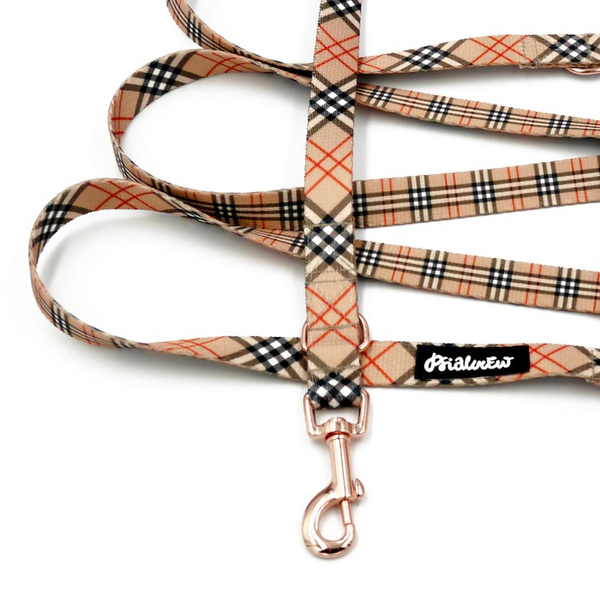 Hundeleine Dogberry Psiakrew Breite 2 cm, Roségold Karabinerhaken 6 cm