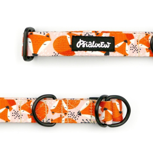 Half-choke collar Foxy Lady, 2.5 cm wide, medium and big dogs, black extras