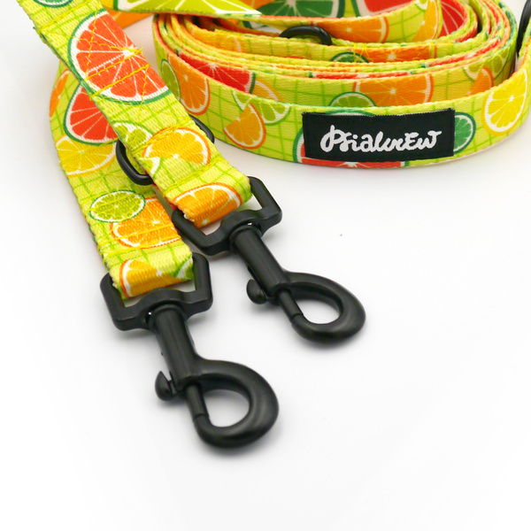 Hundeleine Lemonade Psiakrew Breite 2 cm, schwarzer Karabinerhaken 6 cm