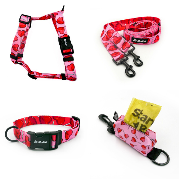 ACCESSORY KIT. Medium dog. Psiakrew Lollipops Series; Collar, Harness, Leash, Pouch