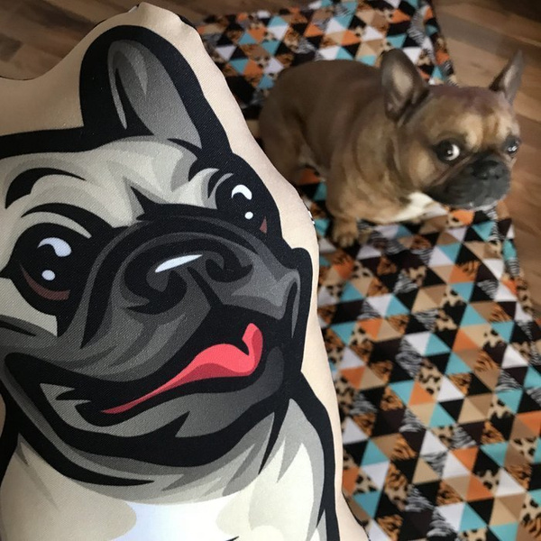 Premium Mat Plaid Blanket for the dog, Wild Animals Psiakrew Design