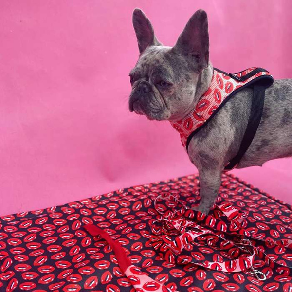Dog Harness Lipstick Pink, Always Feeling Cool, Super Soft Psiakrew