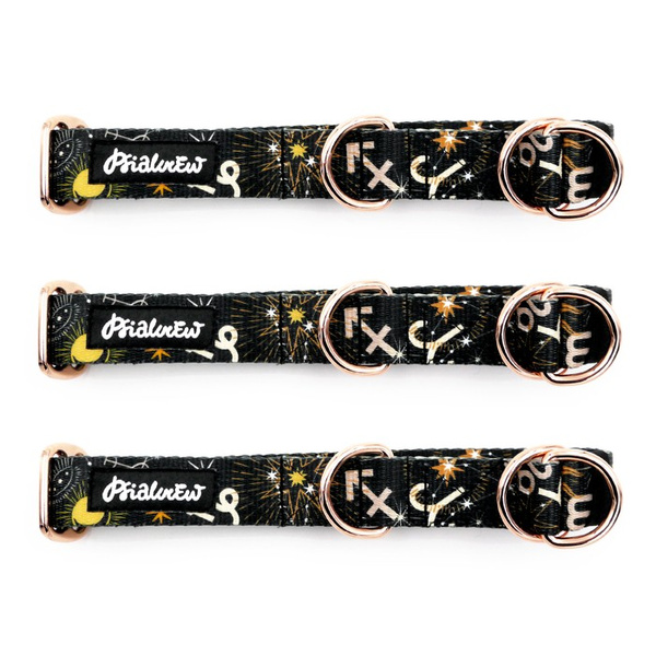 Halb-Klemmhalsband- Zodiak, 2,5 cm breit, für mittelgroße und größere Hunde, Golden-Beschläge, Psiakrew