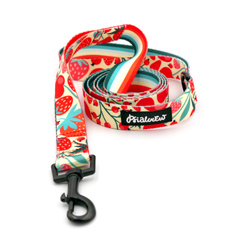 Dog Leash Fruit Jelly Psiakrew width 2.5 cm, 1"  wide, black snap hook 6 cm