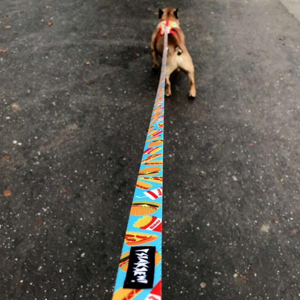 Long Dog Leash Doggy Foodie width 2 cm (0.78")  wide, black snap hook 7 cm