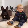 Wandtattoo Hund French Bulldog Dreamer Wanddekoration für ein Kinderzimmer für einen Hundeliebhaber
