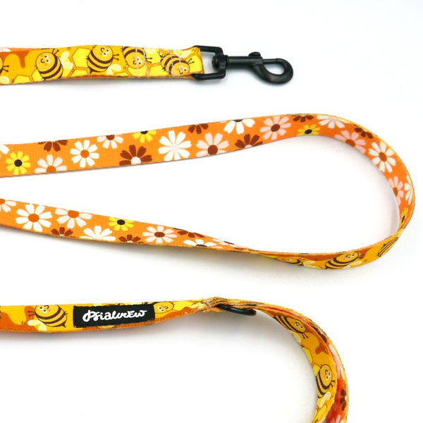 Laufleine für Hund Fleißige Bienen Psiakrew, Breite 2 cm, schwarzer Karabinerhaken 6 cm