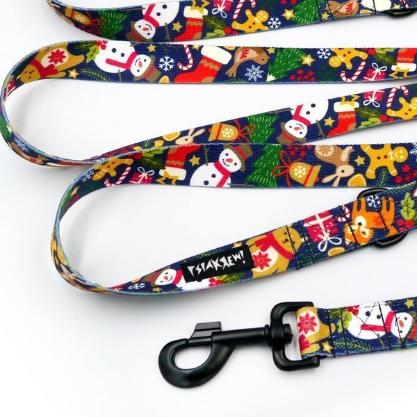 Long Dog Leash Winter is coming width 2.5 cm, 1"  wide, snap hook black 8 cm