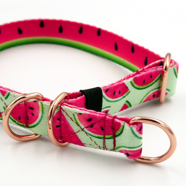 Half-Choke-Halsband Watermelon, 2 cm breit, für kleine Hunde, goldene Accessoires