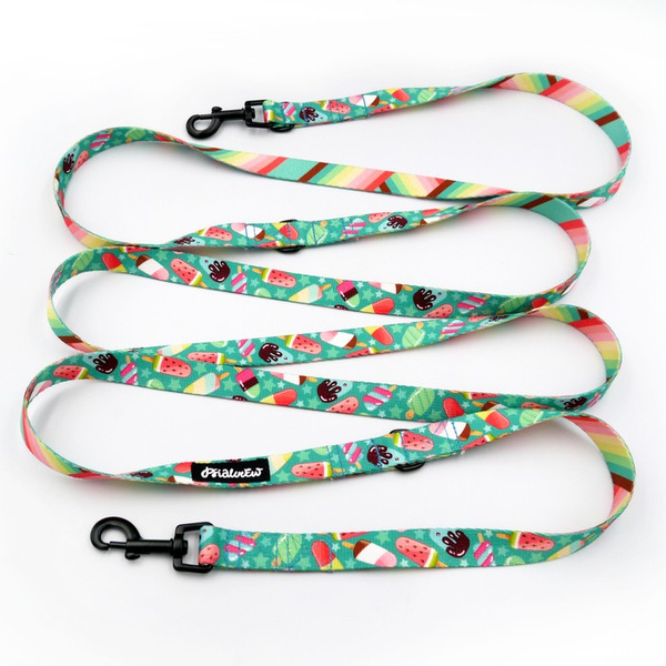 Long Dog Leash Ice Ice Baby Psiakrew width 2 cm (0.78"), black snap hook 6 cm