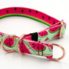 Half-choke collar Watermelon, 2 cm wide, for small dogs, golden extras