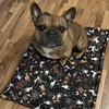Premium Mat Plaid Blanket for the dog, Deer Calls Psiakrew Design