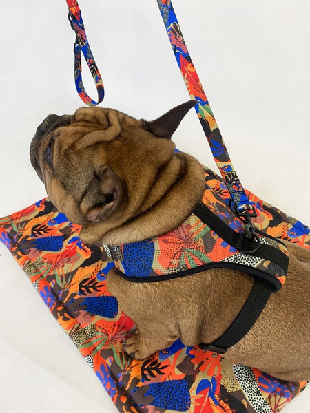 Dog Harness Colorful Thicket Psiakrew, Always Feeling Cool, Super Soft