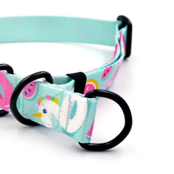 Half-choke collar Azure Pool Psiakrew, 2.5 cm wide, medium and big dogs, black extras