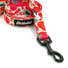Walking leash for Dog Fruit Jelly Psiakrew, width 2 cm, black snap hook 6 cm