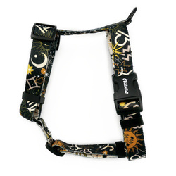 Guard Harness for Dog Zodiak Psiakrew, black extras