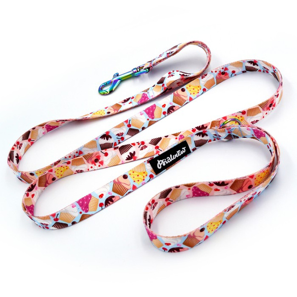 Dog Leash Hot Sweetness width 2 cm 0.78 ", holo snap hook 7 cm