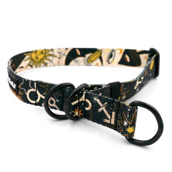 Half-choke collar Zodiak Psiakrew, 2.5 cm wide, medium and big dogs, black extras