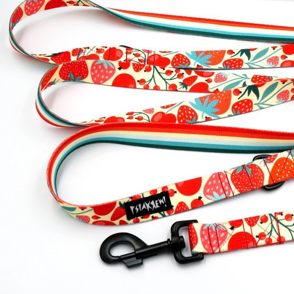 Dog Leash Fruit Jelly width 2.5 cm, 1" wide, black snap hook 8cm