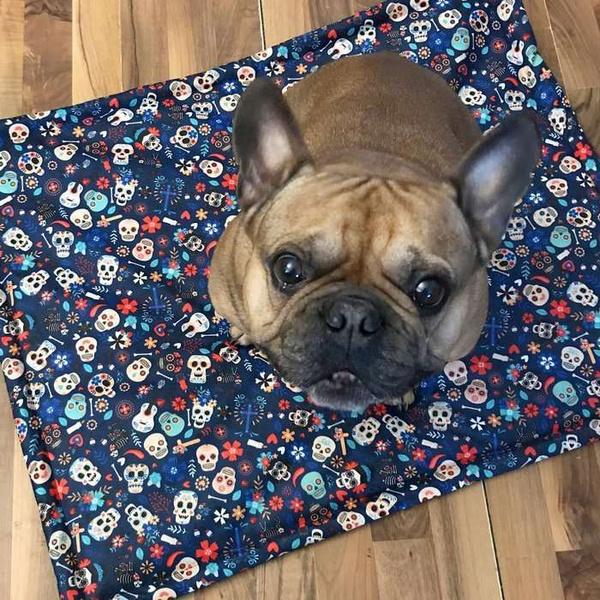 Waterproof Mat for the dog, puppy, cat, Día de los Muertos, Psiakrew Design